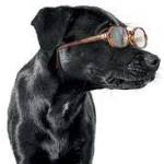 antonio vanzin Profile Picture