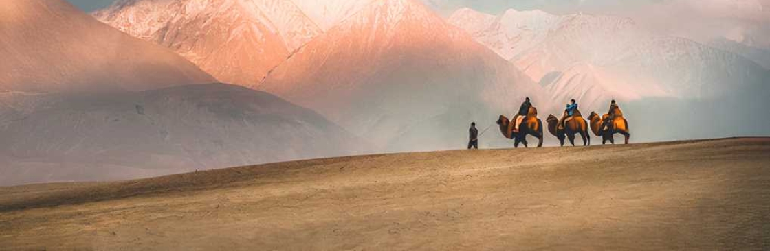 nathan bracken Cover Image