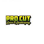 Pro Cut Lawn Care and Landscaping Profile Picture
