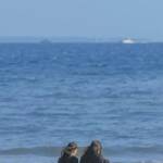 Tennison Profile Picture