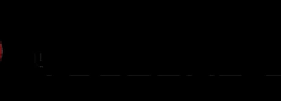 youssry auditing Cover Image