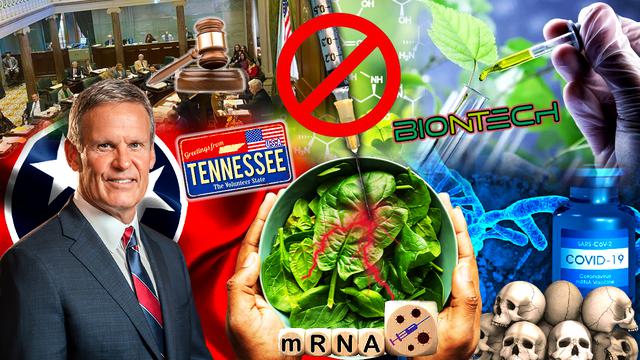 O Senado do Tennessee aprova projeto de lei que proíbe as vacinas em alimentos