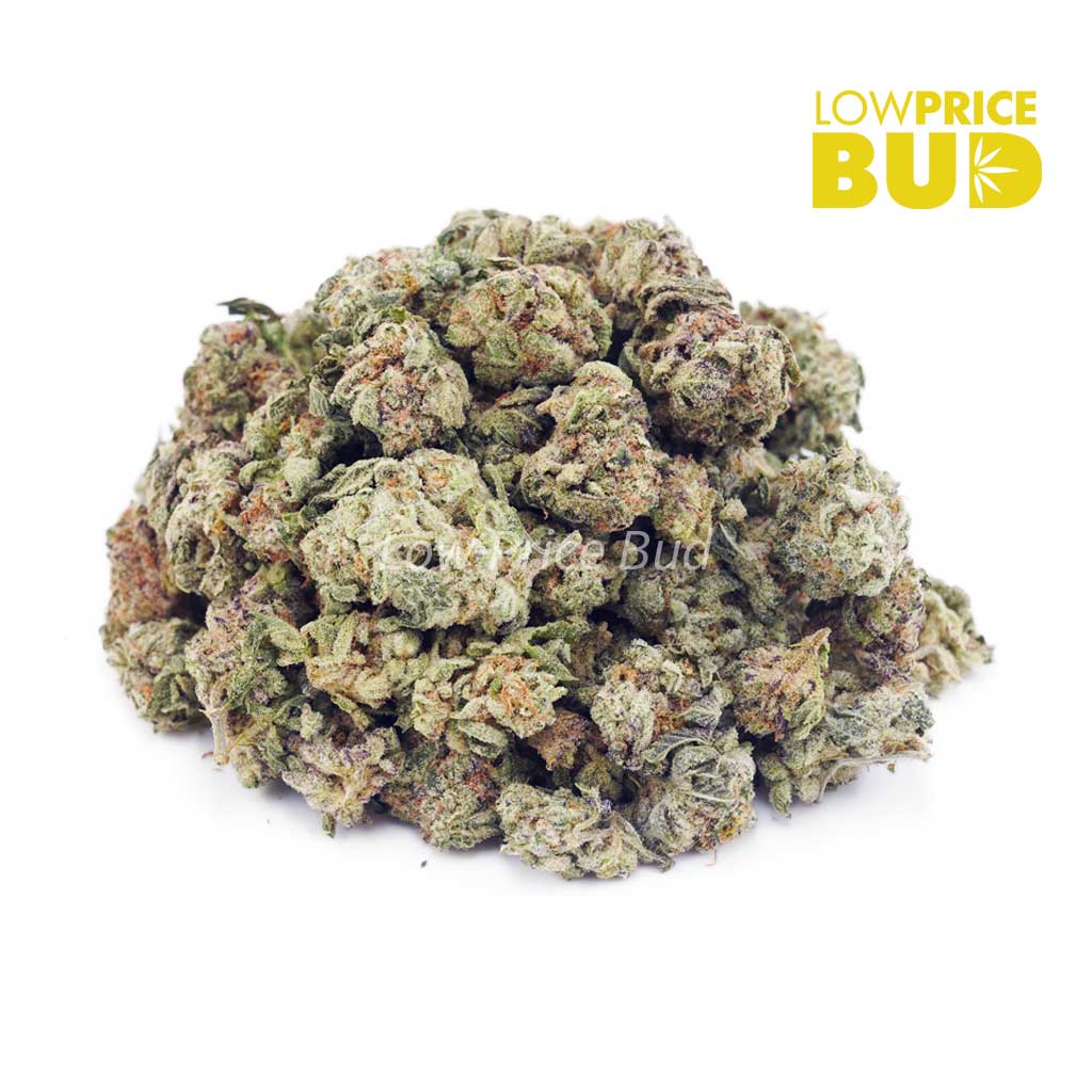 Dolato (AAAA) - Popcorn Nugs - Low Price Bud